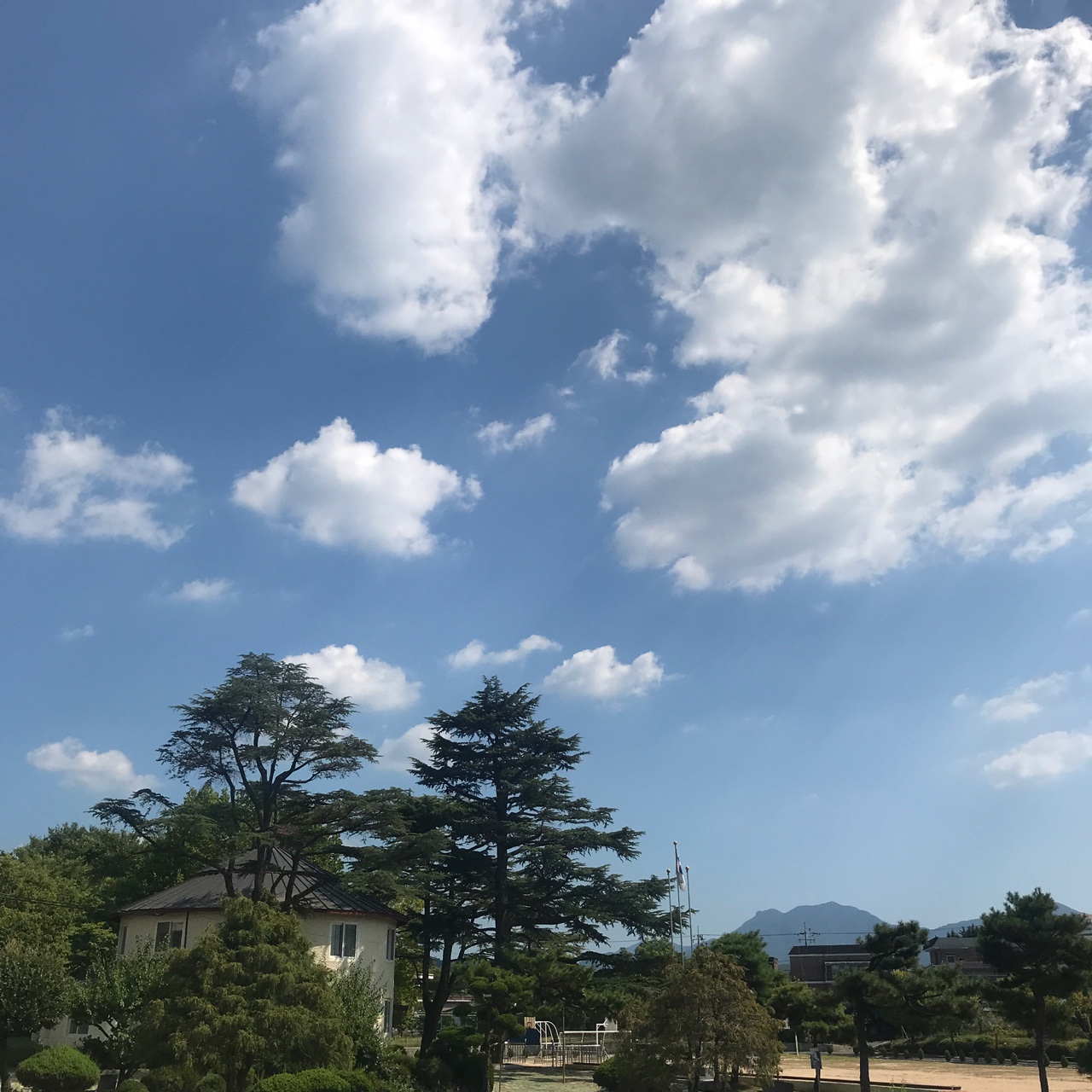 20_김승현_맑은 여름 하늘.jpg 첨부 이미지